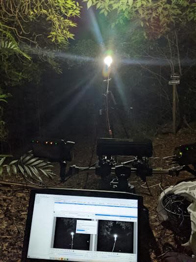 Varias cámaras en un entorno forestal por la noche.