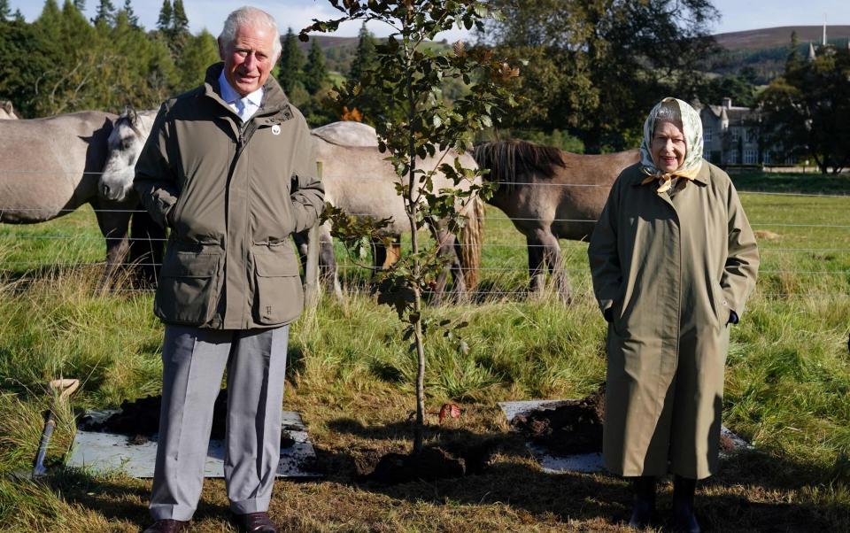 The Queen’s Green Canopy was an initiative that invited people to plant trees to mark Queen Elizabeth II’s Platinum Jubilee - Andrew Milligan/AFP