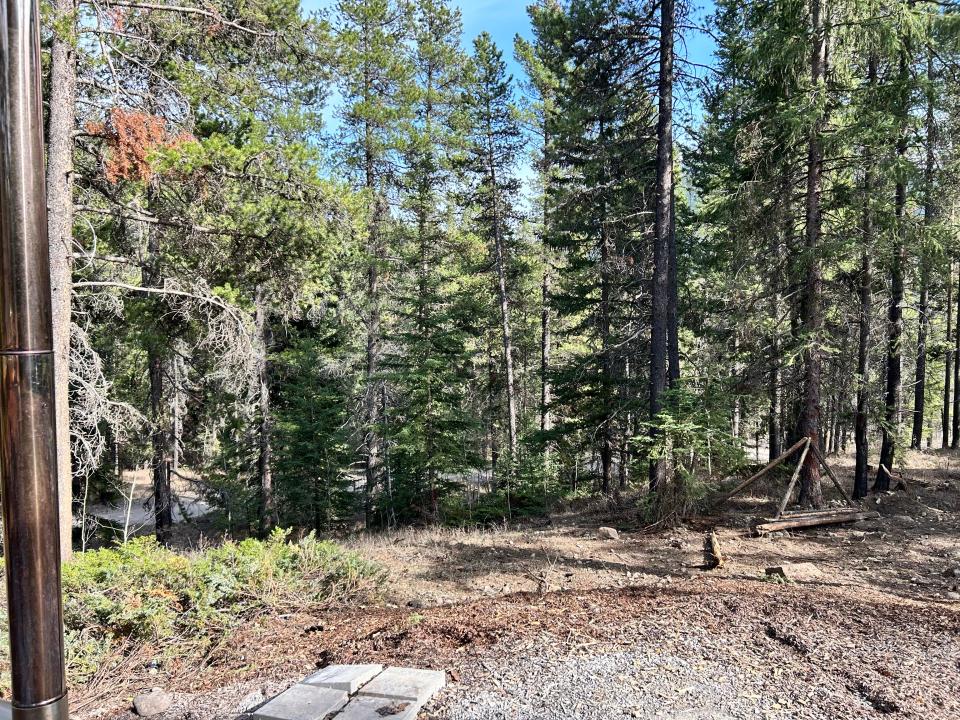 view of trees