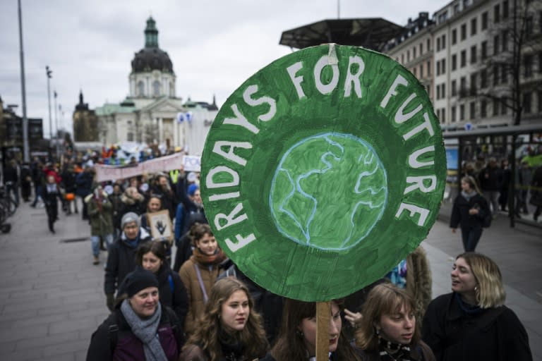 Friday's march was organised by the Fridays For Future (FFF) movement (Jonathan NACKSTRAND)