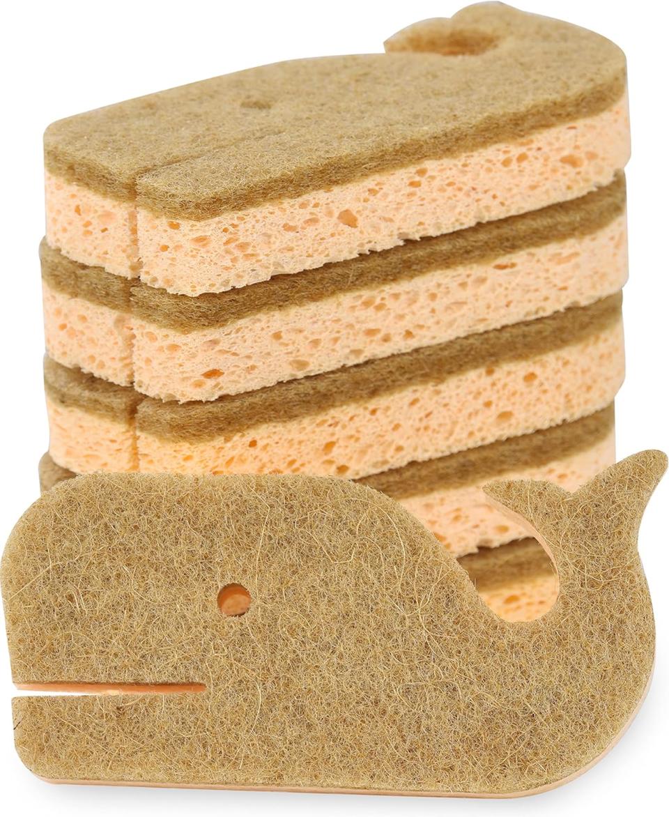 whale sponge