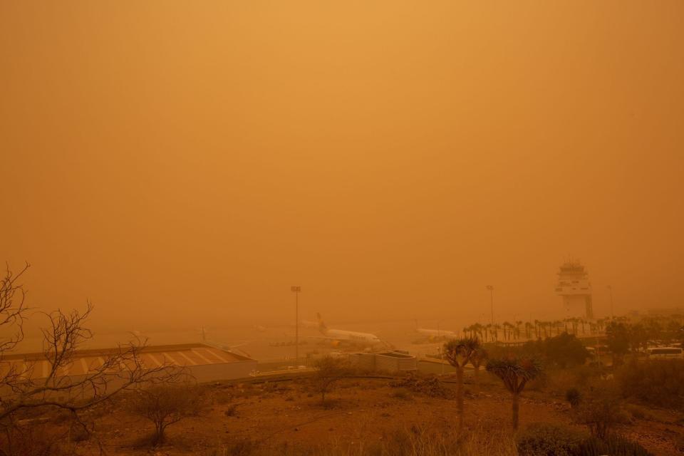 Planes are pictured at Tenerife SouthReina Sofia Airport during a sandstorm on February 23, 2020 on the Canary Island of Tenerife.