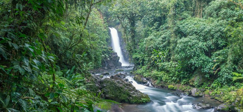 panoramic of la paz waterfall in the green rainforest of costa rica