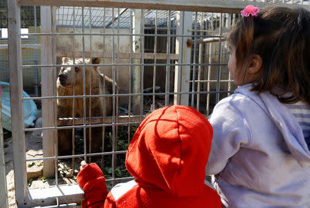 Children look at a bear at Nour Park in Mosul's zoo, Iraq, February 2, 2017. REUTERS/Muhammad Hamed