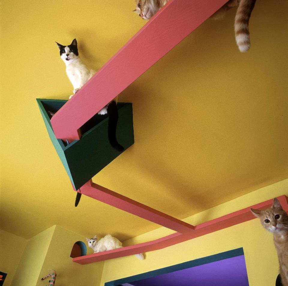This undated photo released courtesy Bob Walker showing cats standing on an elaborate set of cat walks inside of a home in San Diego Calif. Bob Walker and Frances Mooney moved into the house in 1986 and started converting it into a human-sized cat condo with 140 feet of elevated highway, tunnels, ramps, a spiral staircase, rest areas and scenic vistas. It even had a floor to ceiling scratching post. One improvement seemed to lead to another. (AP Photo/Courtesy Bob Walker)