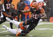 NFL: Cleveland Browns at Cincinnati Bengals