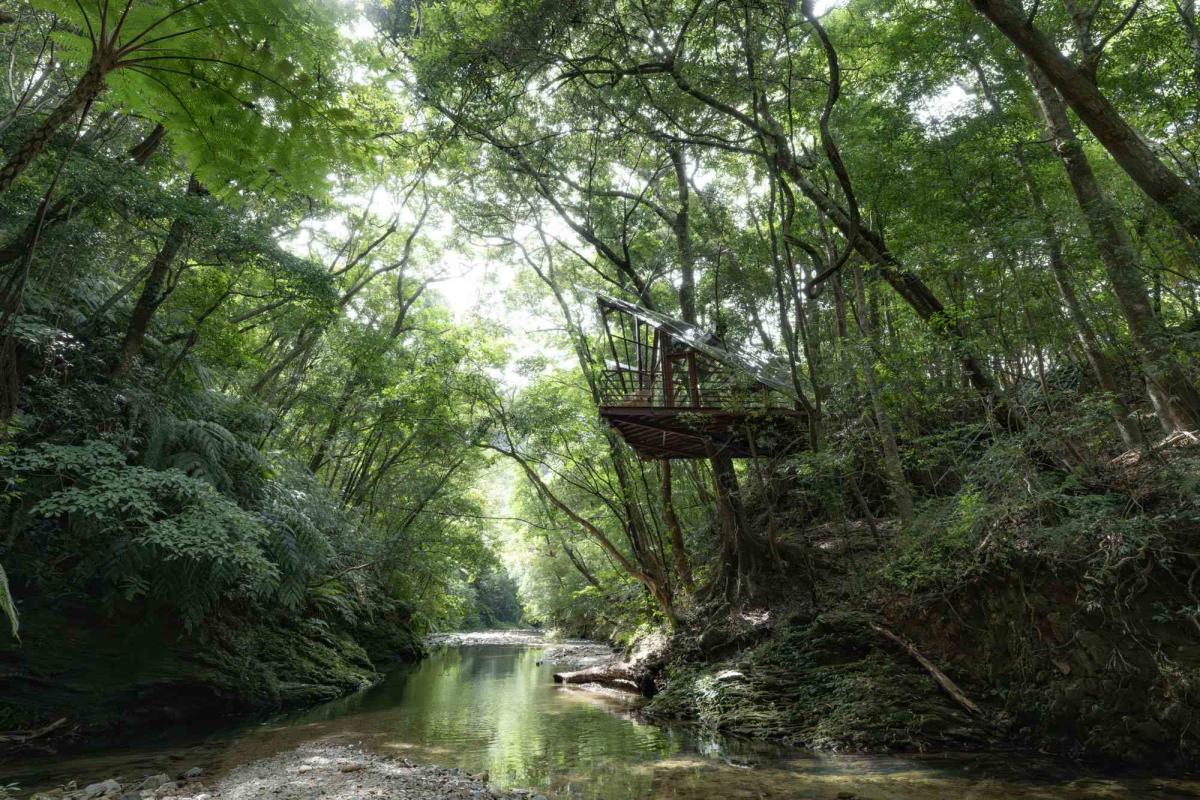 This Tree House Resort in Japan Has 360-degree Jungle Views — and a Slide  From a Sauna Into the Genka River