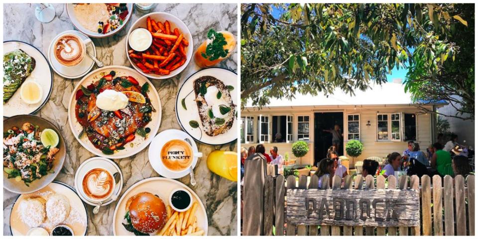 <p>From amazing menus to chic decors these unique café’s are the perfect spot for a long lunch with grandma or a brunch with the gang. </p>