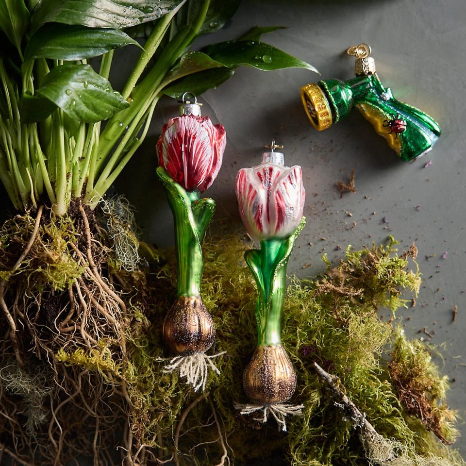 Terrain Tulip Bulb Ornament