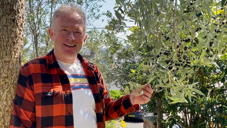 Toby Buckland with his olive trees for Gardeners' World