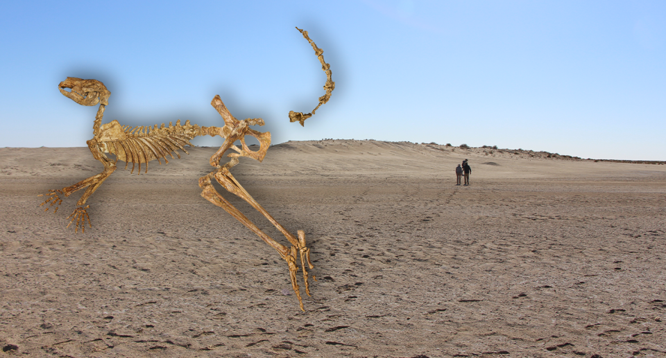 The fossil of a giant kangaroo superimposed against Lake Callabonna.