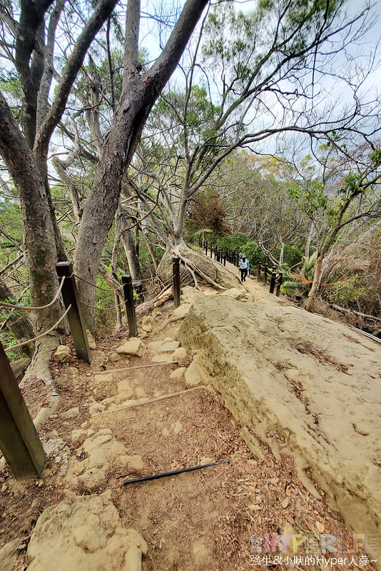 台中大坑六號七號登山步道