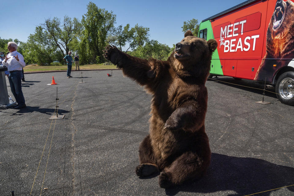 John Cox, far left, begins his recall campaign for California governor with "Tag," a Kodiak brown bear, on Tuesday, May 4, 2021 in Sacramento. It was the first stop for his "Meet the Beast" bus tour. (Renee C. Byer/The Sacramento Bee via AP)