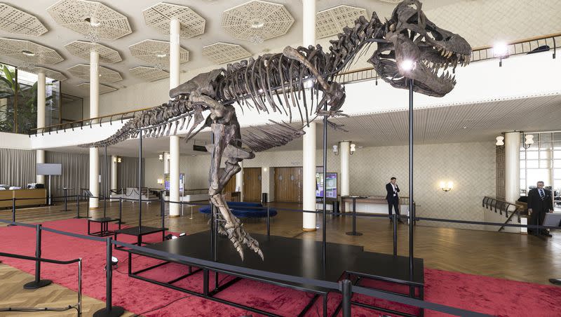 Visitors watch the skeleton of a Tyrannosaurus rex named Trinity, during a preview by auction house Koller at the Tonhalle Zurich concert hall, on Wednesday, March 29, 2023 in Zurich, Switzerland. The 11.6-meter-long, 3.9-meter-high and 67-million-year-old T. rex skeleton was assembled from three specimens excavated from 2008 to 2013 in the Hell Creek and Lance Creek formations in the U.S. states of Montana and Wyoming.