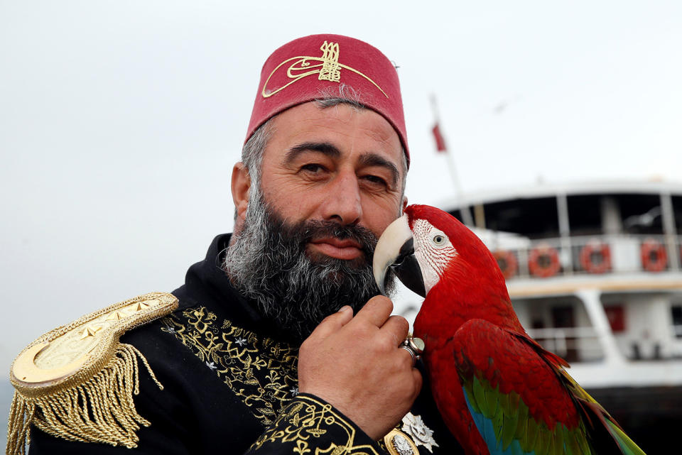 Life with a parrot in Istanbul