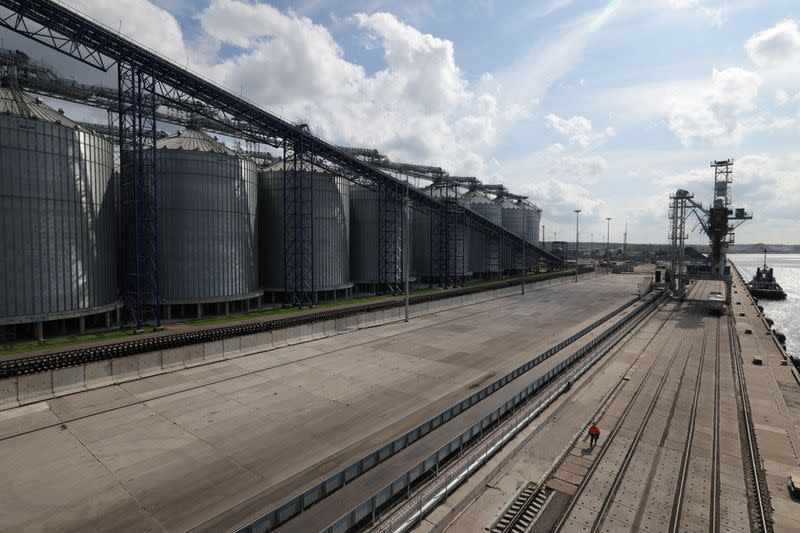 FILE PHOTO: Grain terminal in Baltic port of Vysotsk