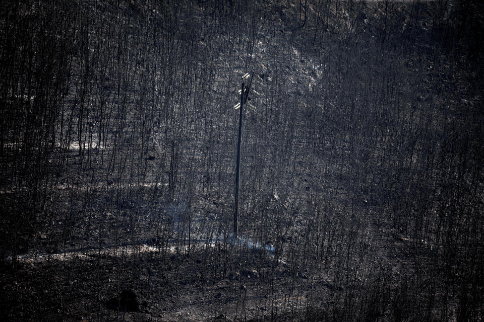 <p>An electricity pole stands among burnt trees following a wildfire in Neos Voutzas, near Athens, Greece, July 25, 2018. (Photo: Alkis Konstantinidis/Reuters) </p>