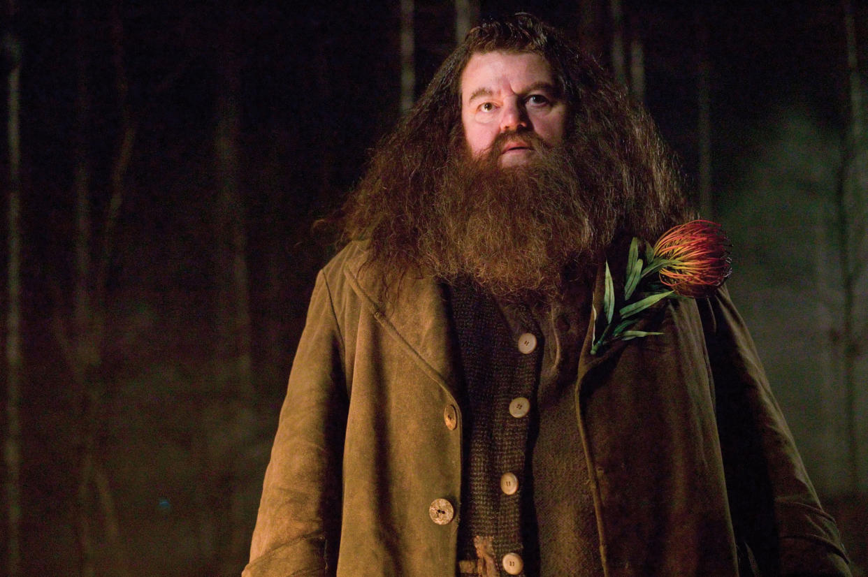 Robbie Coltrane as Hagrid (Mary Evans / Warner Bros. Entertainment/Ronald Grant/Everett Collection)