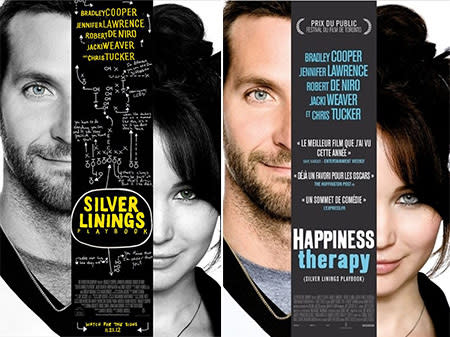 The Silver Linings Playbook (2013)