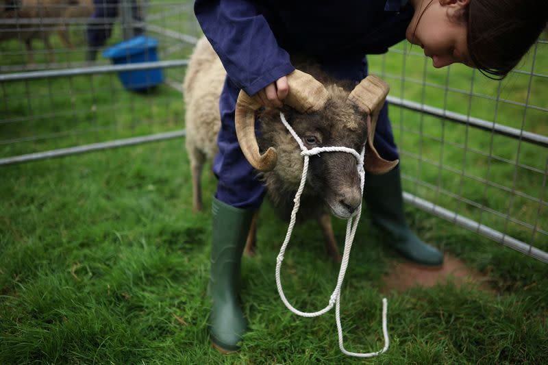 The Wider Image: Urban school farm opens world of opportunity to British teens