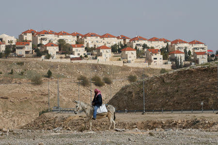 FILE PHOTO: A Palestinian man rides a donkey near the Israeli settlement of Maale Edumim, in the occupied West Bank, December 28, 2016. REUTERS/Baz Ratner/File photo