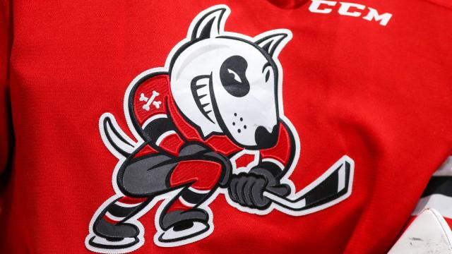 Leaked messages show reason behind IceDogs owners' suspension