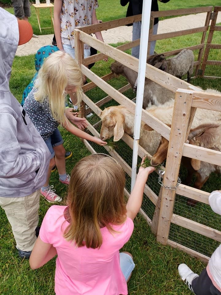 Wayne County library patrons participate in a petting zoo. Zoo-type activities will be held this summer at most branches.