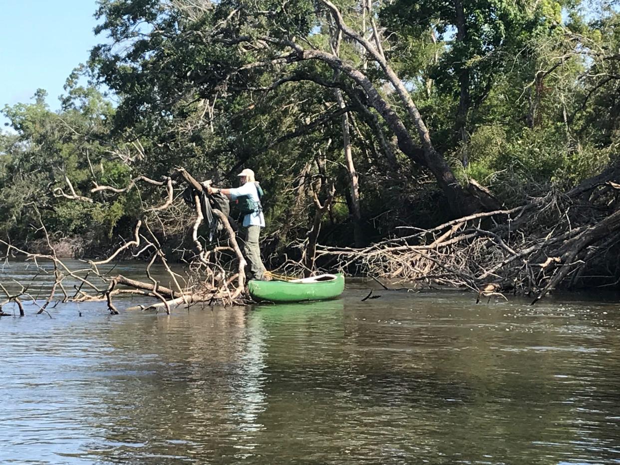 Apalachicola Riverkeeper volunteer David Morse retrieves a plastic innertube from a snag on the Chipola River.