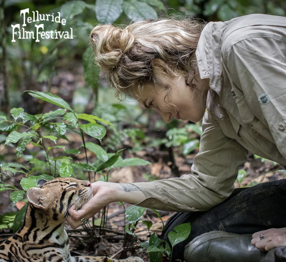 Wildcat's Samantha Zwicker gives an ocelot a chin rub