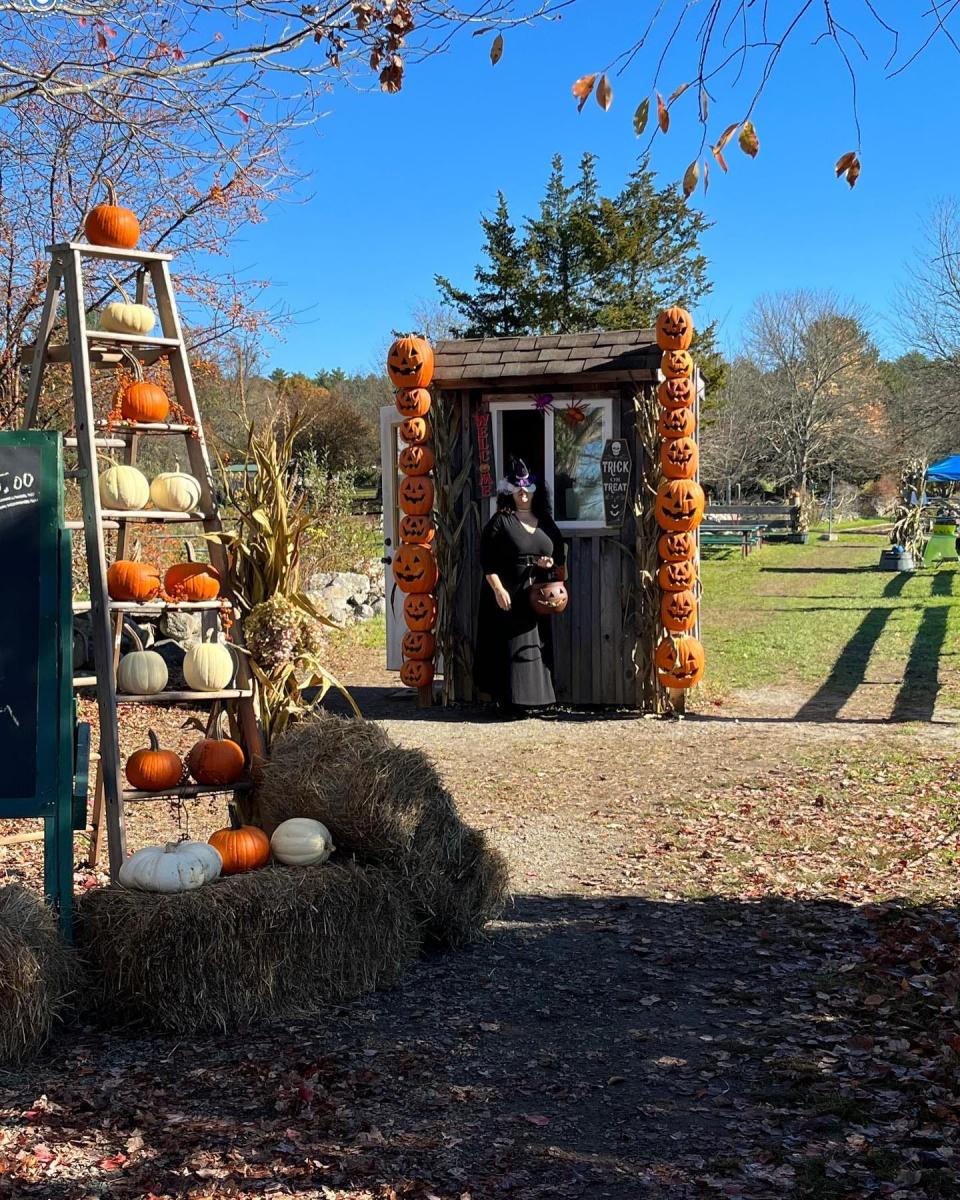 Family fun for all at the Fall Festival at Silverbrook Farm.