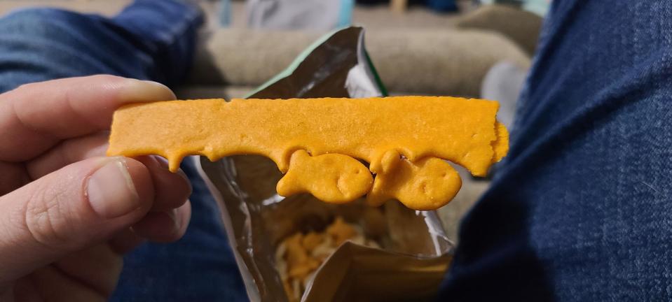 a long piece of goldfish cracker that's shaped like a rectangle, with 2 goldfish cracker pieces still attached