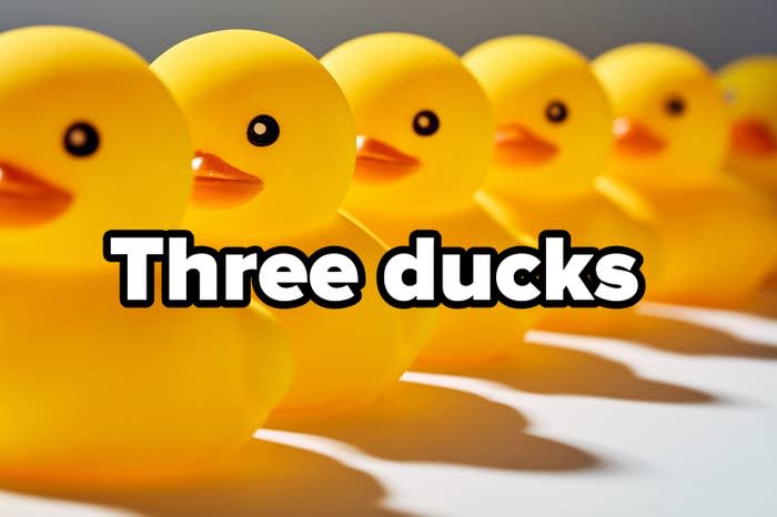 Rubber ducks in a row over text reading "Three ducks"