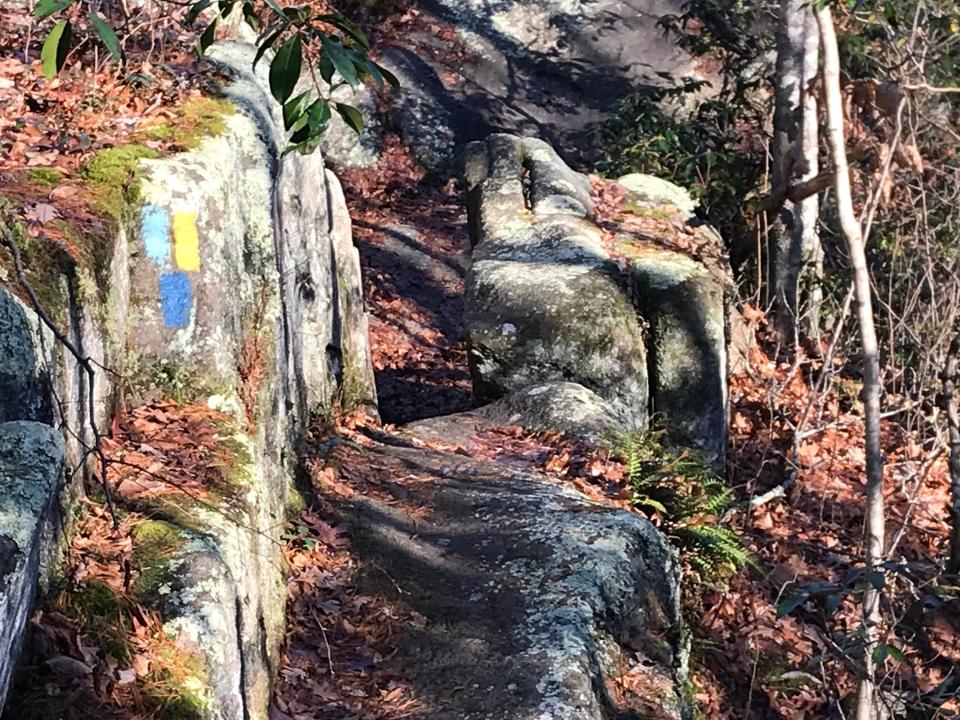 Three trails — Tippecansett South, Narragansett and Freeman — follow the same path along the state’s western border.