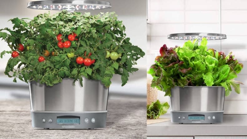 Give the gift of fresh herbs and greens all winter long with Aerogarden.