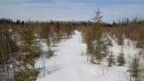 The secret path: Bringing back a nearly forgotten ancient portage trail