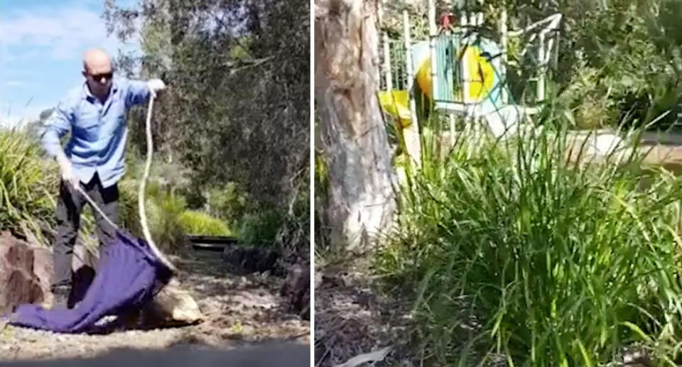 Stuart McKenzie pulled the snake from a hiding spot just metres from a play area (right). Source: Facebook/ Sunshine Coast Snake Catcher 24/7