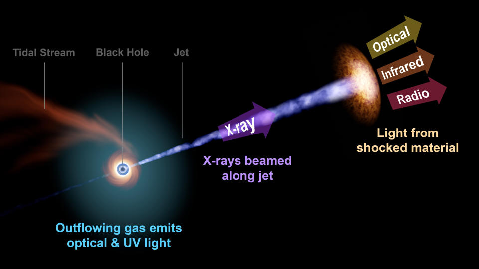 The jet sent out a flash that reached us on Earth (SWNS) 