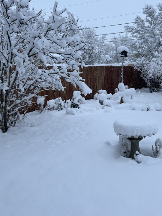 Snow in Security Widefield Friday, March 15