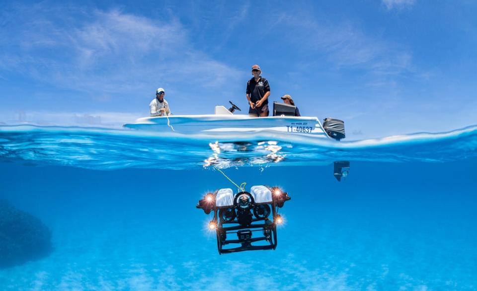 Marine biologists steering underwater robot in the ocean