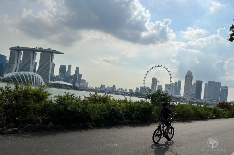 (TSI) Singapore MBS Flyer