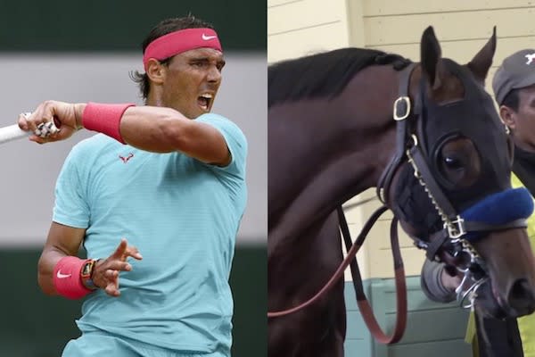 Nadal retraite