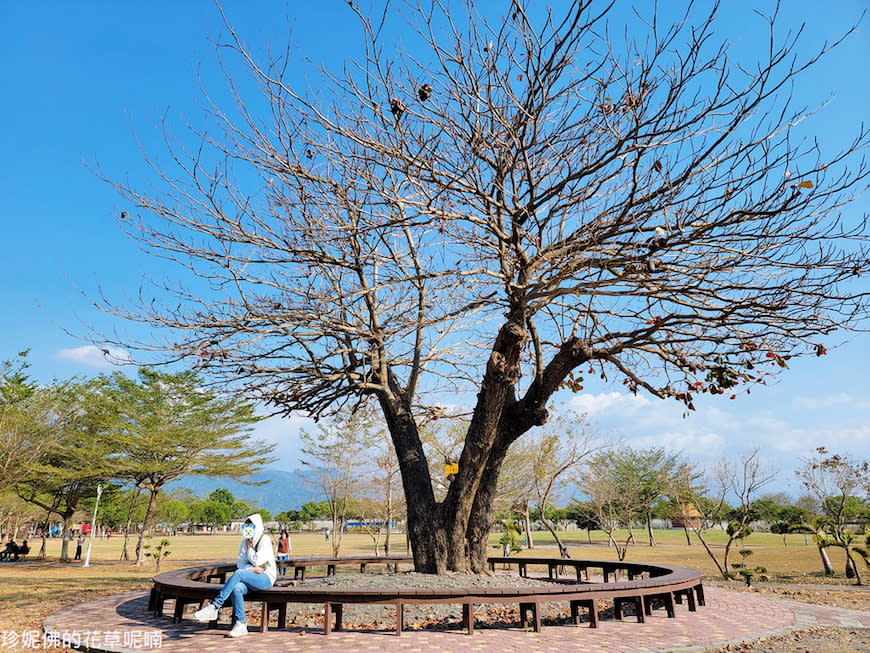 屏東｜新埤鄉綜合休閒公園