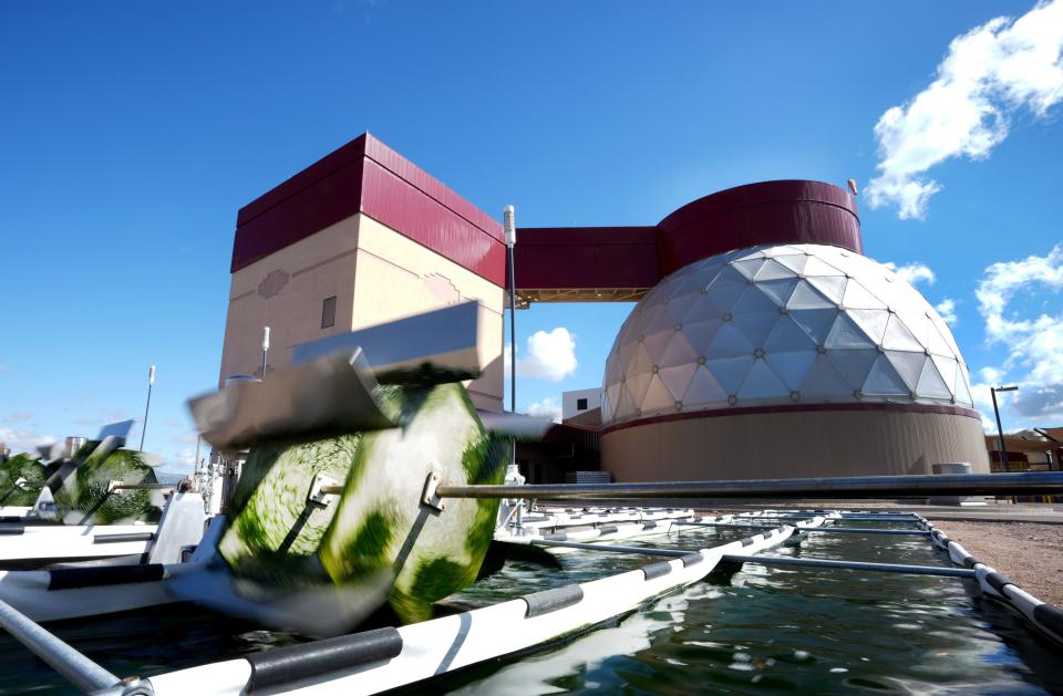 Scientists at ASU are partnering with the city of Mesa to cultivate algae using wastewater in a three-year project funded by the Department of Energy. The trial is taking place at Mesa's North West Water Reclamation Facility, pictured here on Feb. 24, 2022.