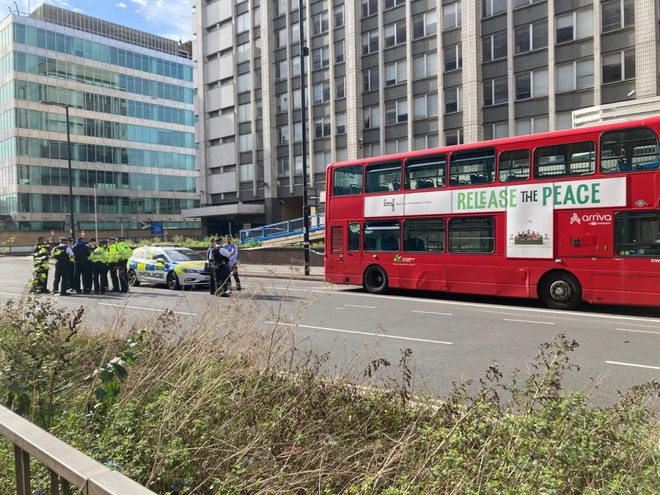 A teenage boy has been arrested by the Met Police in connection with the incident (Jordan Reynolds/PA Wire)