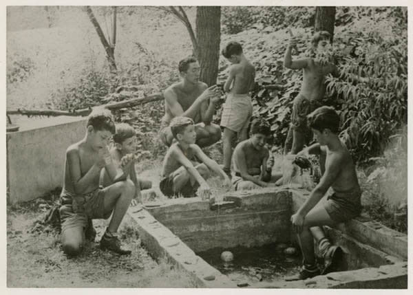 Boys examining nature at a country camp, circa 1950.