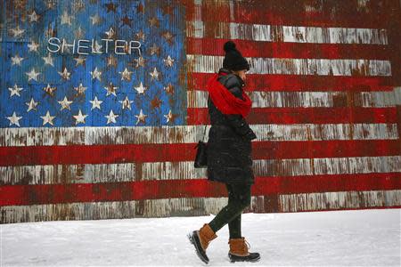 A woman walks by a U.S. flag mural on the side of a restaurant during a snow fall in the Williamsburg section of the Brooklyn borough in New York, January 21, 2014. REUTERS/Shannon Stapleton