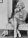 <p>Tired of being typecast as a dumb blond, Marilyn moved to New York City to study at the Actor's Studio. Here, Marilyn is holding her little white dog, Maf. <br></p>