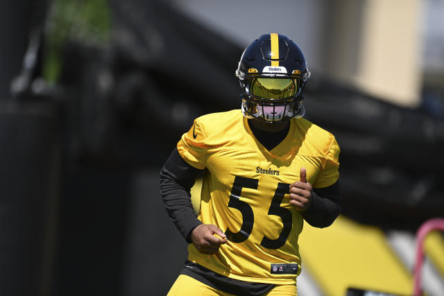 Steelers kick off training camp with Zach Banner and Devin Bush on the field