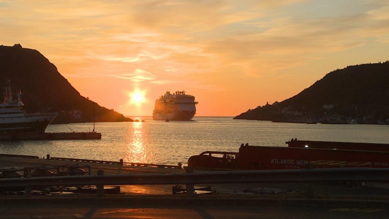 Pilot boats assist ships coming into and out of St. John's Harbour every day, but one trip in September 2022 turned tragic when a deckhand fell overboard.  (Garrett Barry/CBC - image credit)