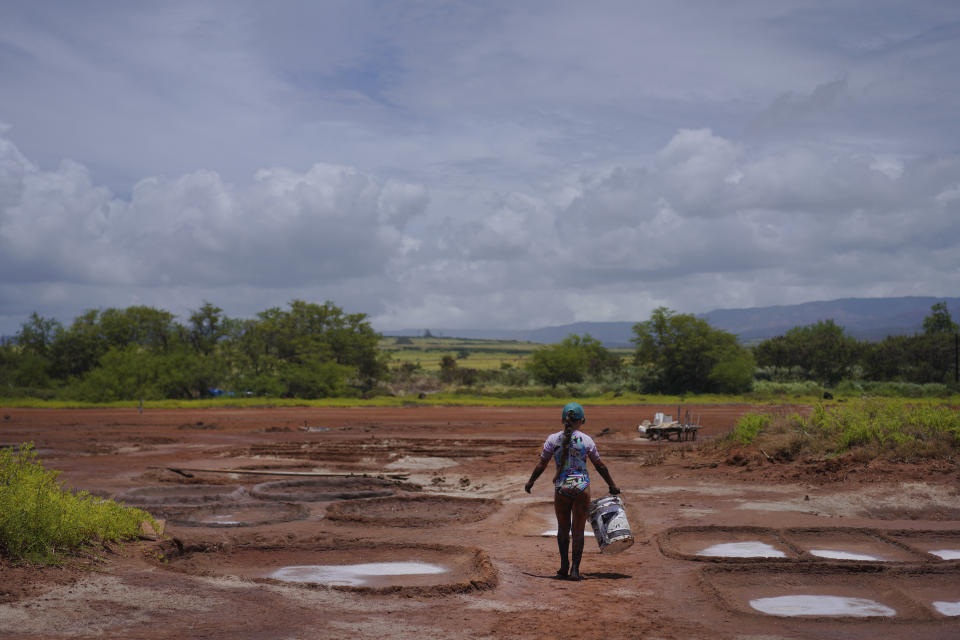 Pi'ilani Taniguchi Butler carries a bucket of wet clay to her family's salt beds on Wednesday, July 12, 2023, in Hanapepe, Hawaii. The salt beds or "loi" are smoothed out using river rocks. The beds are then lined with this rich black clay. (AP Photo/Jessie Wardarski)